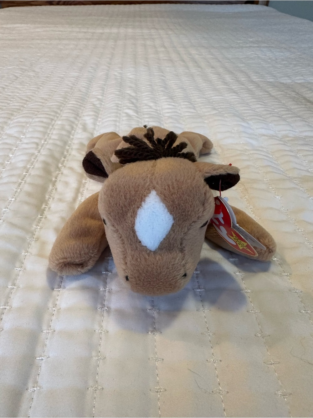 Derby the Horse Beanie Baby